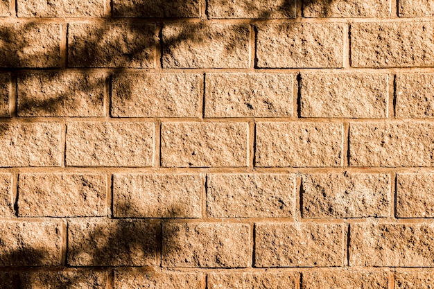 Schaduw van een boom op de bakstenen muur