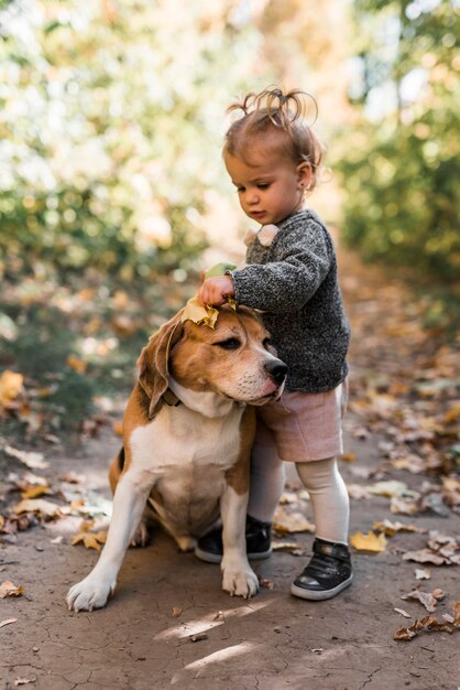 Schattig klein meisje spelen met beagle hond