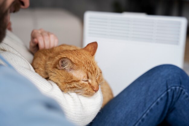 Schattige kat slaapt in de armen van de eigenaar