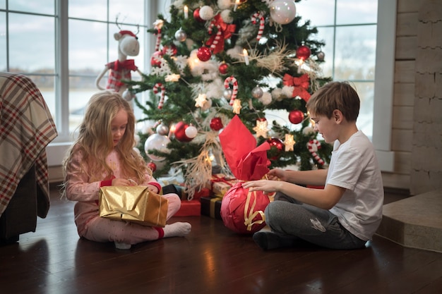 Schattige kinderen genieten van de kerstdag