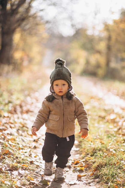 Schattige kleine jongen in een herfst park