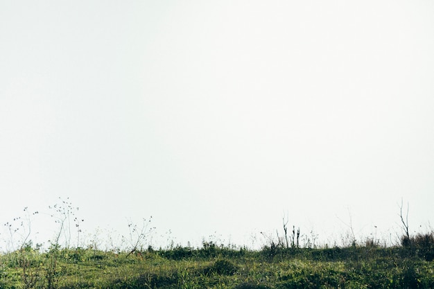 Schilderachtig uitzicht op groen landschap