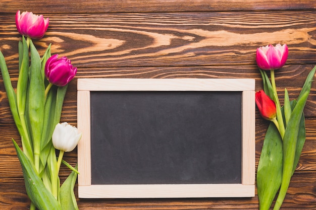 Schoolbord tussen heldere tulpen