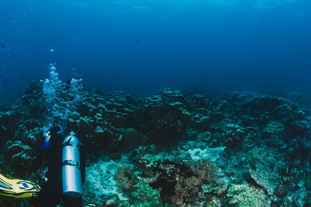 Scuba-duiker verken een koraalrif