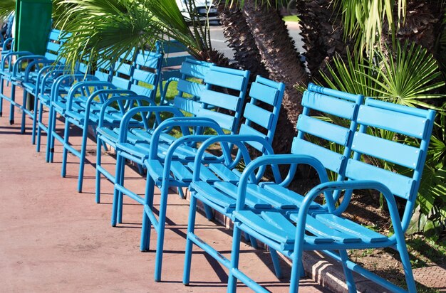 Seafront bankje in Cannes Frankrijk