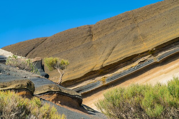 Segment van een heuvel op de vulkaan Teide.