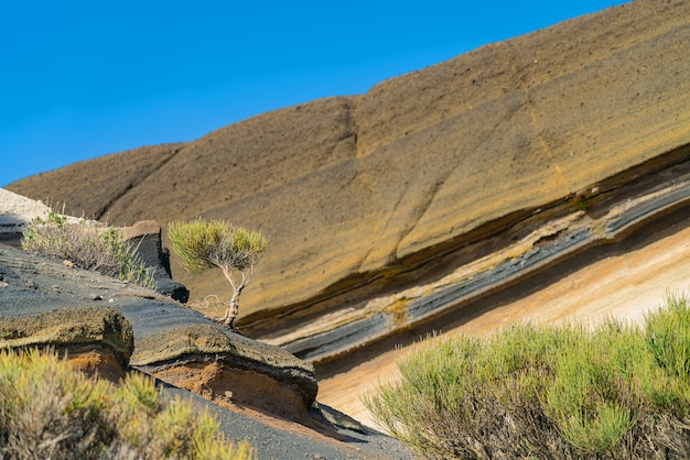 Segment van een heuvel op de vulkaan Teide.