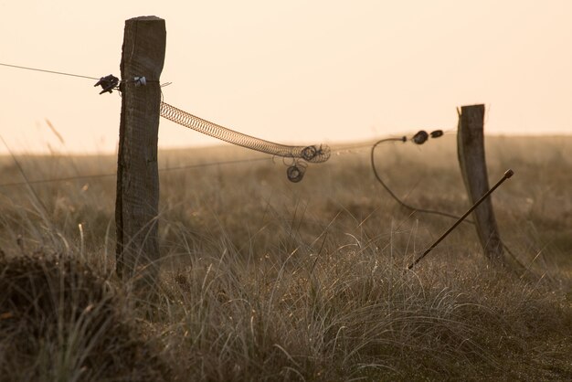 Selectieve aandacht shot van houten stokken staan in het midden van een veld