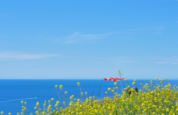 Selectieve aandacht voor een wapperende vlaggen van de zee. Selectieve aandacht, wazige lucht. De schoonheid van de natuur, het landschap van de kust van de Zwarte Zee, horizontale foto