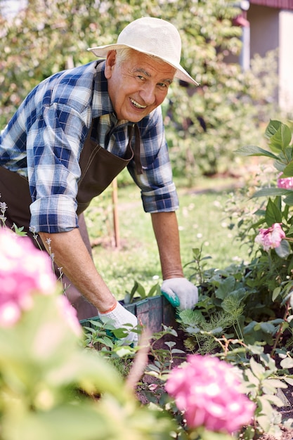 Senior man aan het werk in het veld met bloemen