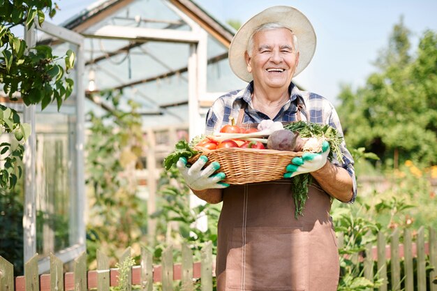 Senior man aan het werk in het veld met een kist met groenten