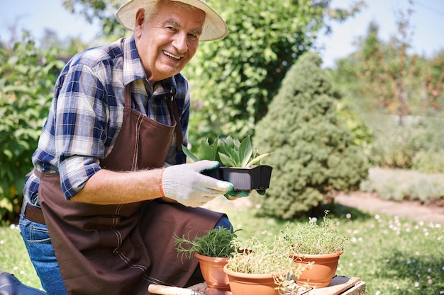 Senior man aan het werk in het veld met planten