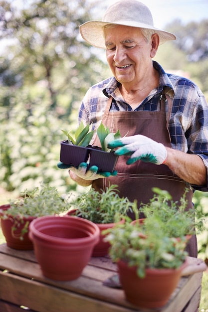 Senior man aan het werk in het veld met planten