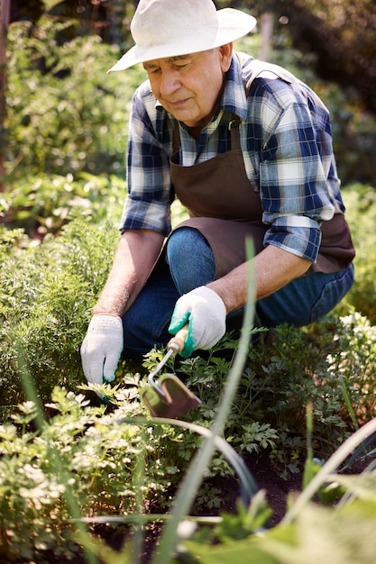 Senior man aan het werk in het veld