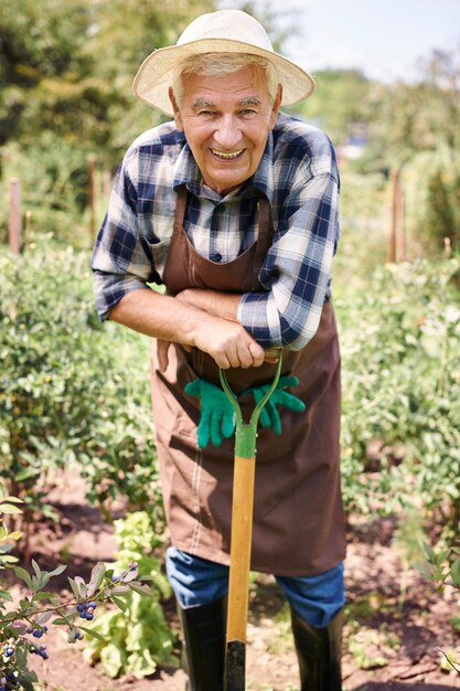 Senior man aan het werk in het veld