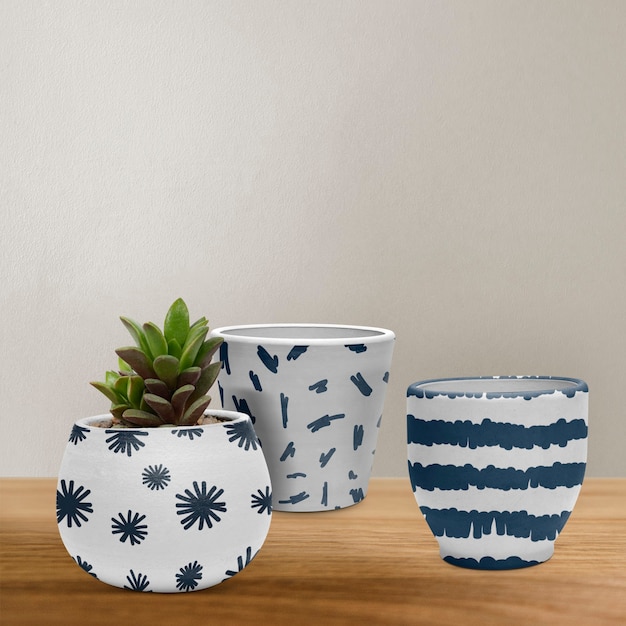 Set potten in wit en blauw met een vetplant