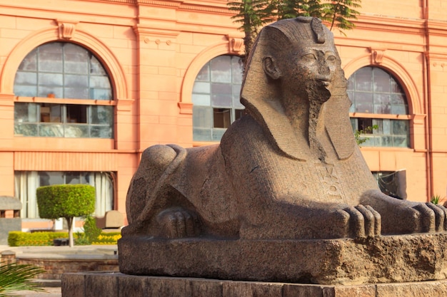 Sfinxstandbeeld bij ingang in museum van egyptische oudheden, algemeen bekend als het egyptisch museum of museum van caïro, in caïro, egypte