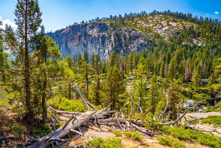 Gratis Foto shot van de schilderachtige natuur van het yosemite national park