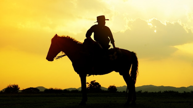 Silhouet van cowboy het berijden paard tegen zonsondergang op het gebied
