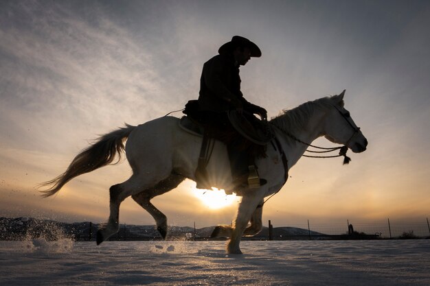 Silhouet van cowboy op een paard