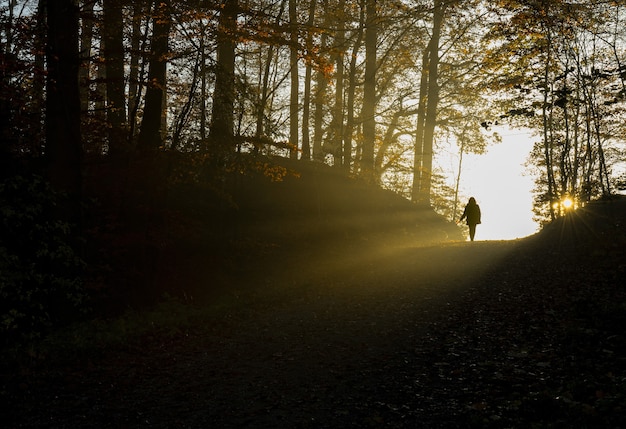 Silhouet van persoon die overdag op weg tussen bomen loopt