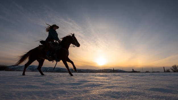 Silhouet van veedrijfster op een paard