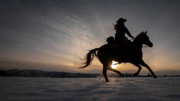 Silhouet van veedrijfster op een paard