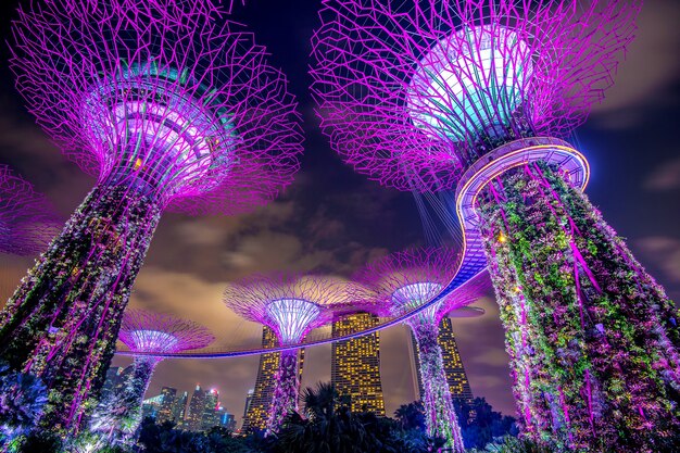 SINGAPORE - FEB 11, 2017: Cityscape van Singapore bij nacht in Singapore.