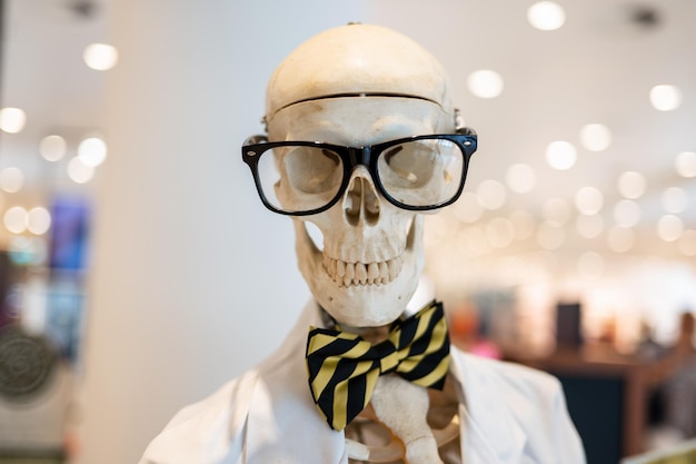 Gratis foto skelet mannequin in kleding