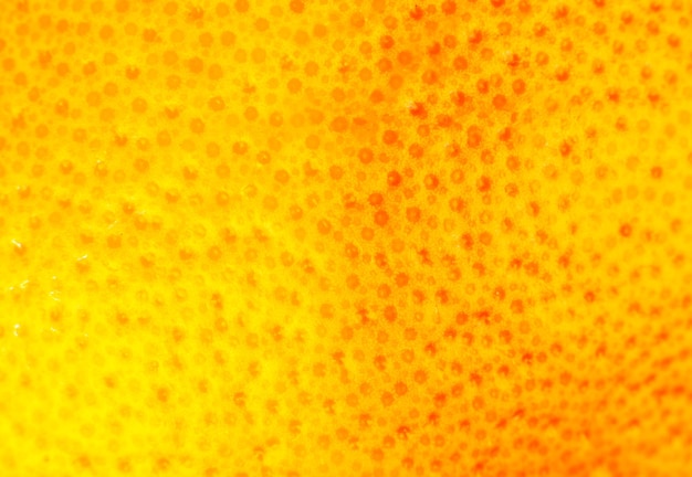 Sluit omhoog foto van de textuur van de grapefruitschil. exotische rijp fruit achtergrond, macro weergave. menselijk huidprobleemconcept, acne en cellulitis. prachtig natuurbehang. Premium Foto