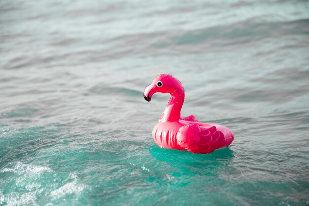 Sluit omhoog inflatble de flamingo ring op water zwemt