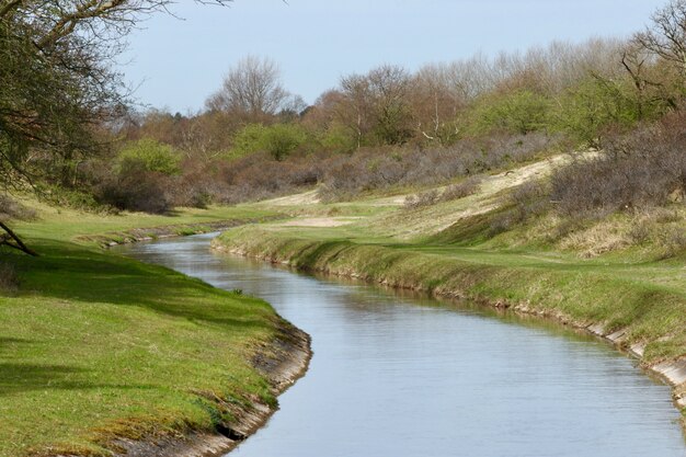 Smalle rivier in een groen land met veel bomen