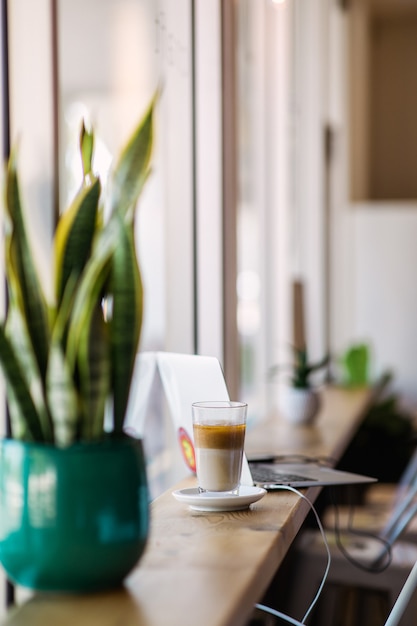 Gratis foto snake plant op tafel