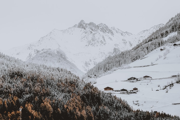 Gratis Foto sneeuw bedekt berg in de buurt van bos