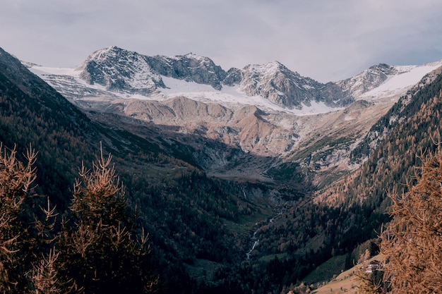 Gratis foto sneeuw bedekte berg