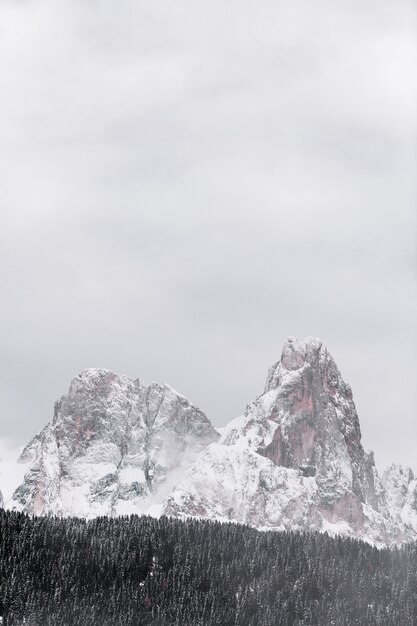 Sneeuw Behandelde Berg door Bos tijdens Wintertijd