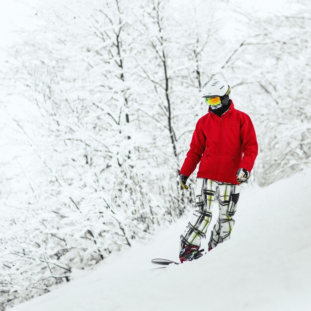 Snowboarder staat op de heuvel omringd met een bos