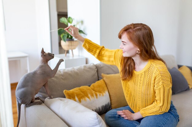 Speelse Sphynx-kat die geniet van spelen op de bank met haar baasje