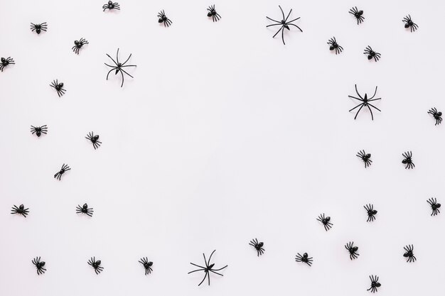 Spinnen die op witte achtergrond kruipen