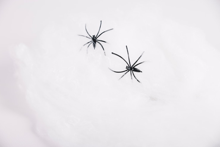 Gratis Foto spinnen kruipen op een witte achtergrond