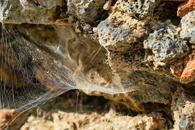 Gratis foto spinnenwebben op de muur van een oud verlaten huis selectief focusidee voor een achtergrondmilieuconcept