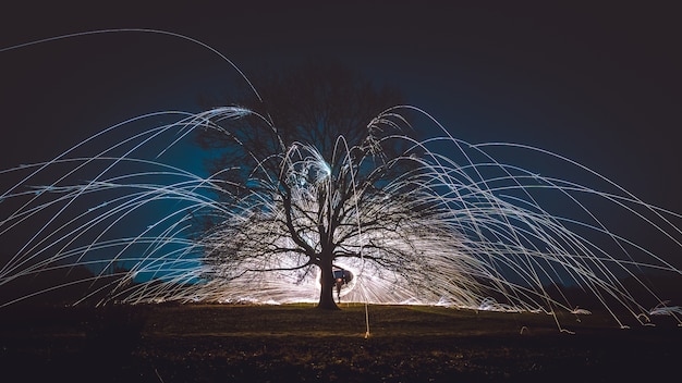 Staalwol spint 's nachts boven de grond bij een boom