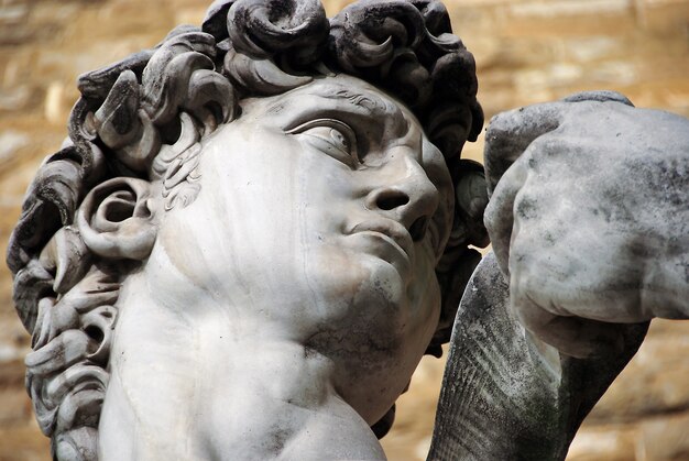Standbeeld van de David van Michelangelo in Florence