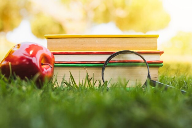 Stapel van boeken dichtbij appel en meer magnifier op gras