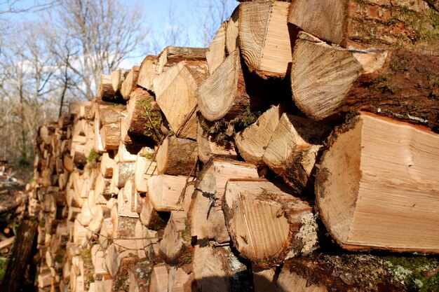 Stapel veel gehakt brandhout klaar voor de koude winter