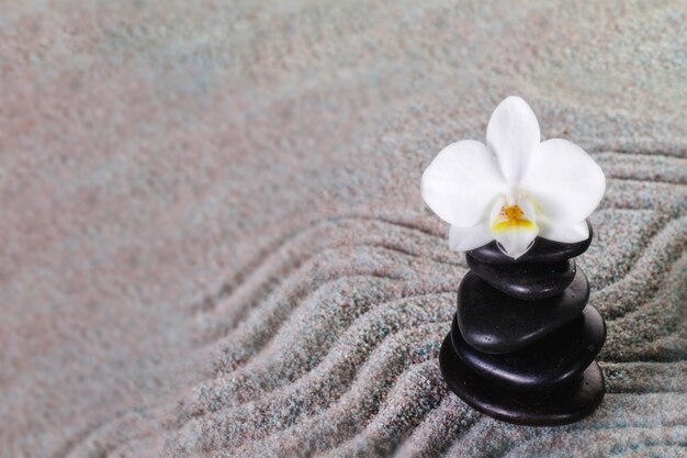 Stapel zwarte stenen met orchidee bovenop
