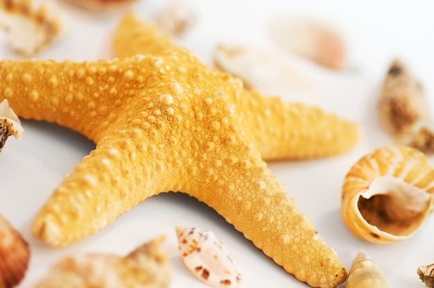 Starfish dicht