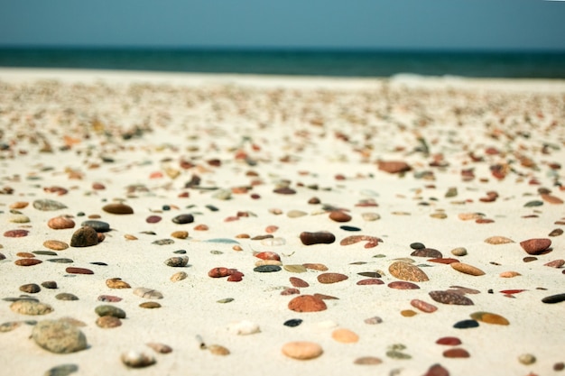 Gratis foto stenen in het zand