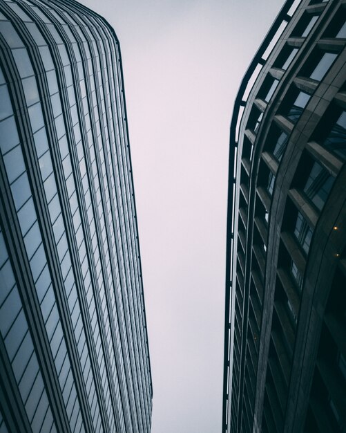 Stijgende verticaal van moderne hoge bedrijfsgebouwen met een witte hemel