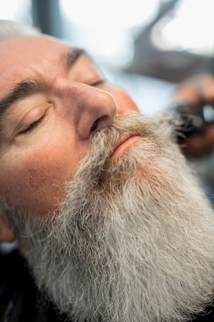 Stijlvol senior man gezicht met goed verzorgde lange baard